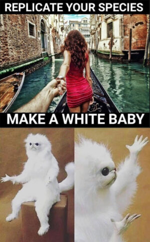 White Monkey Meme