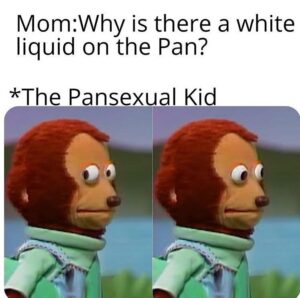 Pansexual Meme