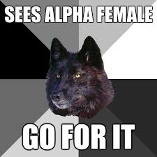 Alpha Wolf Meme