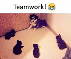 Team Work Meme