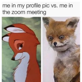 Fox Meme