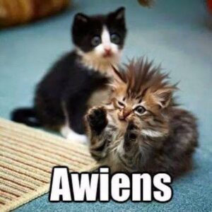 Alien Cat Meme