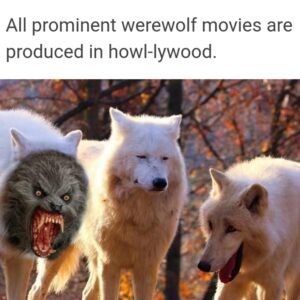 Werewolf Meme