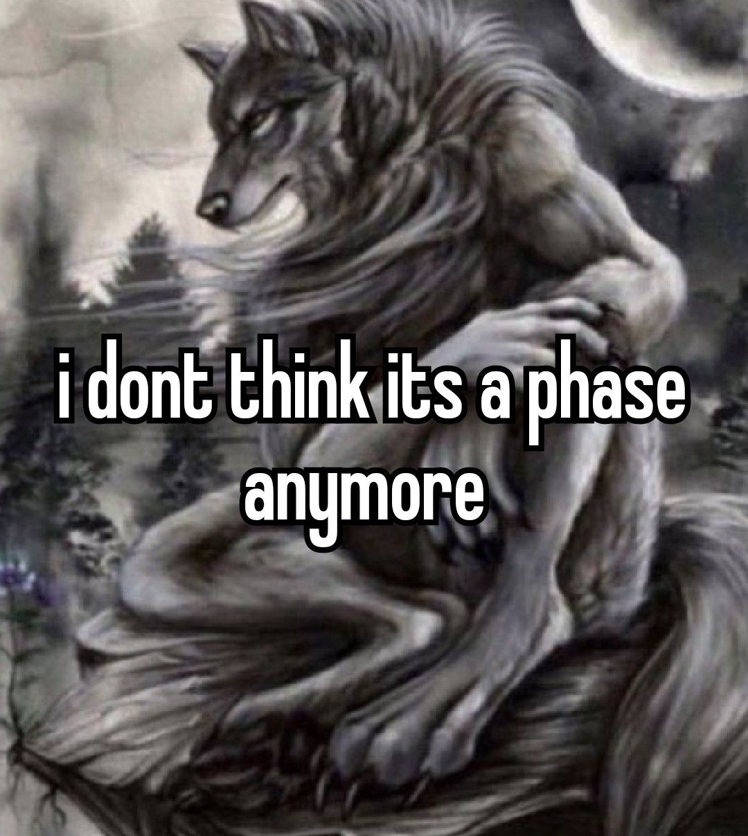 alpha wolf meme idlememe 2