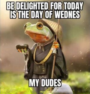 Wednesday Meme Work